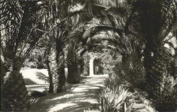 Alger Algerien Parc de Galland