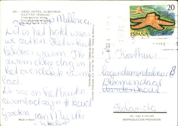 Illetas Grand Hotel Albatros – Bild 2
