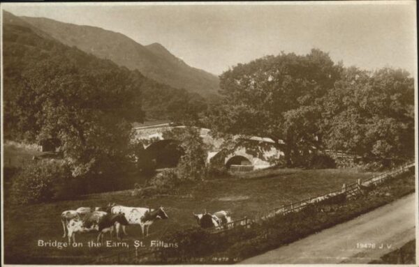 St Fillans Bridge Kühe