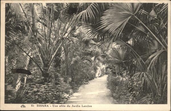 Biskra Jardin Landon