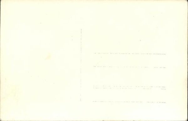 Hirschenpleisskopf – Bild 2