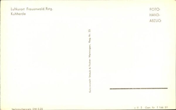 Frauenwald Kuhherde – Bild 2