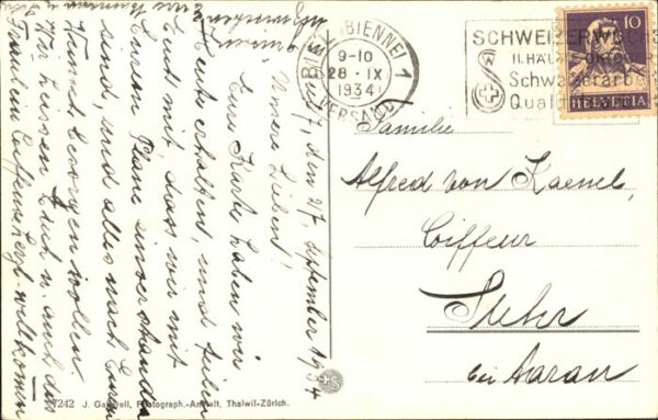 Voegel Gänsemarsch – Bild 2