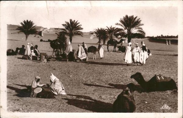 Araber Kamele Wüste