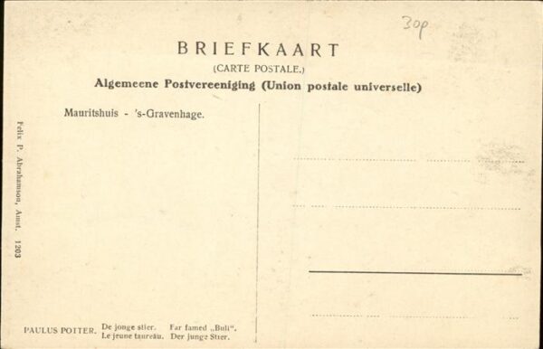Stiere Hirte Künstler Paulus Potter Mauritshui – Bild 2