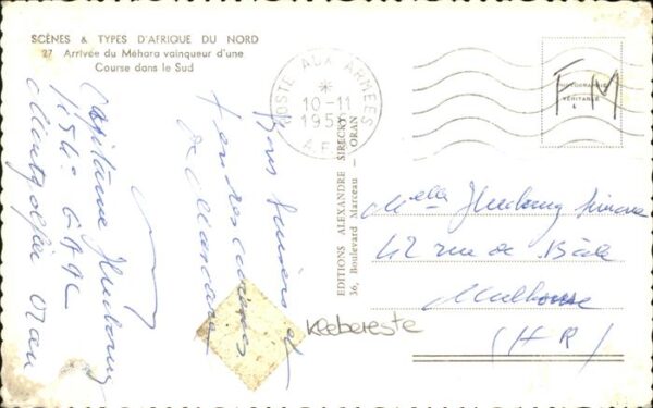 Kamel  Camel Chameau Nord-Afrika – Bild 2