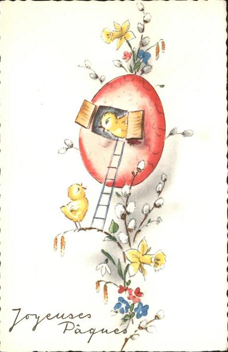 Ostern Easter Paques Küken