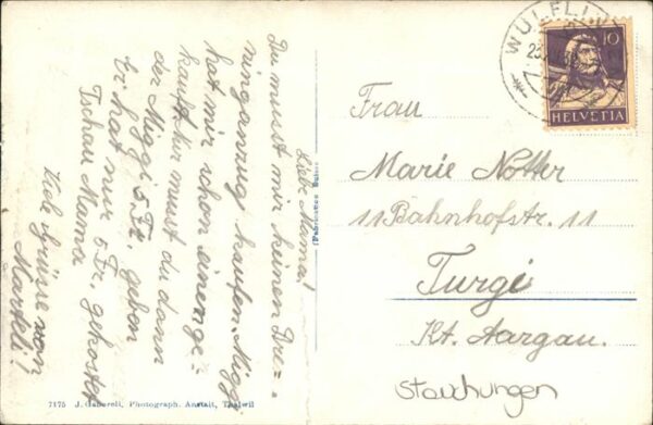 Katzen – Bild 2