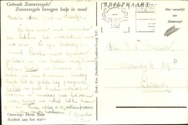 Tiere Rehbock Floris Tiele – Bild 2