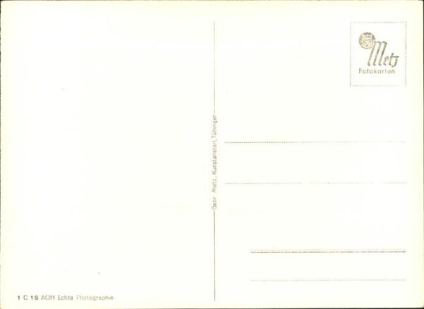 Reh Rehbock – Bild 2