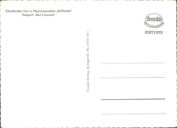 Dickhaeuter Wilhelma Löwe Bad Cannstatt – Bild 2