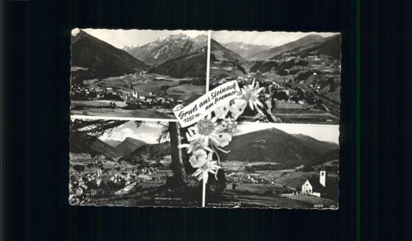 Steinach Brenner Tirol Mauern