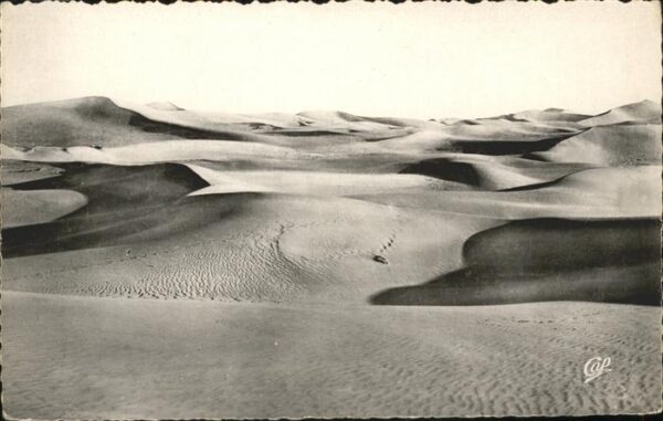 Biskra Mer de sable