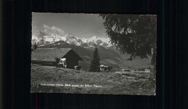 Zell See Erlhofplatte Hohe Tauern