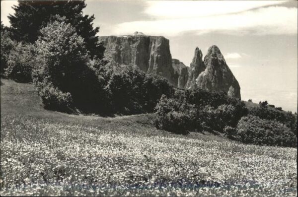 Lo Sciliar Alpe di Siusi Seiseralm Schlern