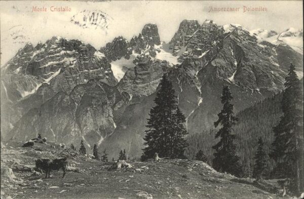Cortina d Ampezzo Monte Cristallo Kuh