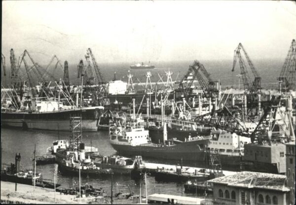 Konstanca Schiff
