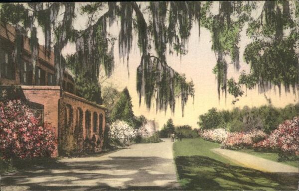 Charleston South Carolina Middleton Place Gardens
