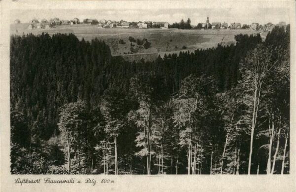 Frauenwald Panorama
Wald