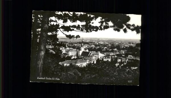 Baden Wien Panorama