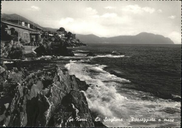 Nervi