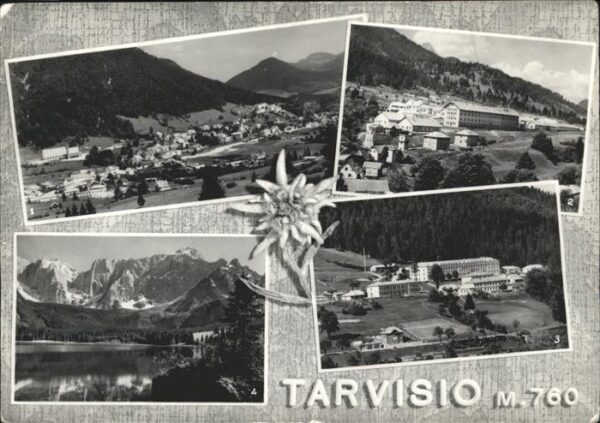 Tarvisio