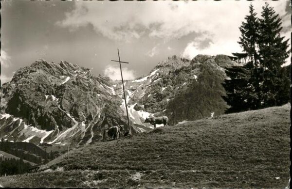 Mittelberg Kleinwalsertal Wildental Schafalpenköpfen