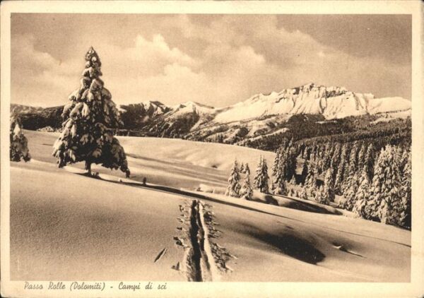 Passo Rolle Dolomiti Campi di sci