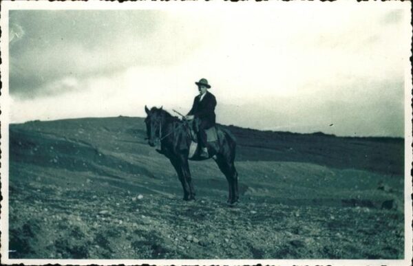 Pferde Gaucho
