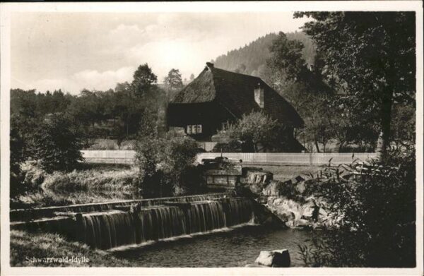 Schwarzwaldhaeuser
