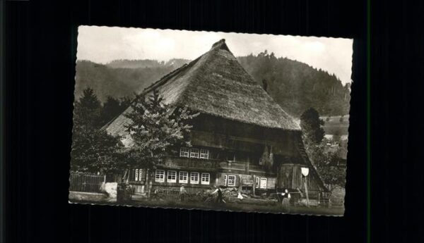 Schwarzwaldhaeuser
