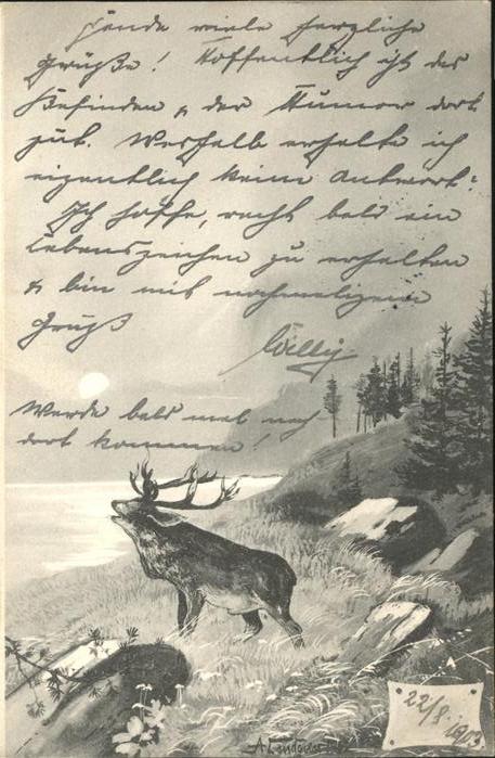 Tiere