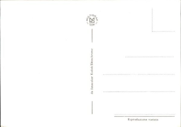 Paepste Johannes Paulus II – Bild 2