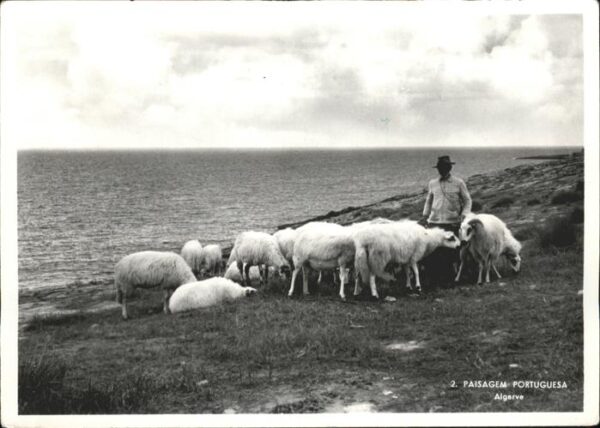 Schafe Hirte Portugal
