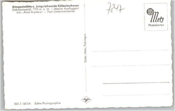 Muenstertal älbelescheuer Jungviehweide * – Bild 2