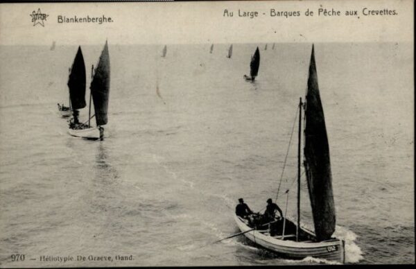 Blankenberghe Large Barques Peche Crevettes