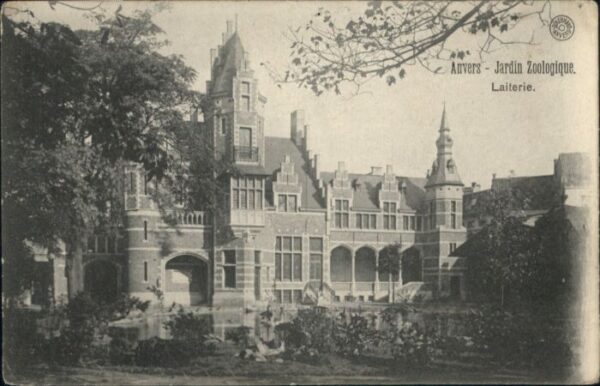 Anvers Antwerpen Anvers Jardin Zoologique Laiterie