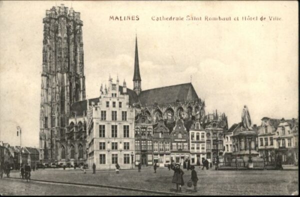 Malines Mechelen Flandre Malines Cathedrale Saint Rombaut Hotel