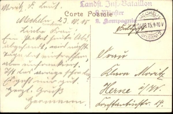 Malines Mechelen Flandre Malines Cathedrale Saint Rombaut Hotel – Bild 2