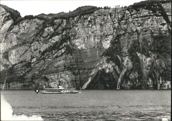 Dampfer Seitenrad Urnersee Teufelsmünster