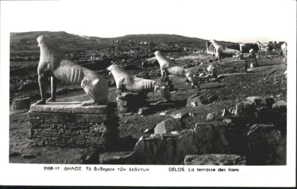 Delos Terrasse Lions Löwe