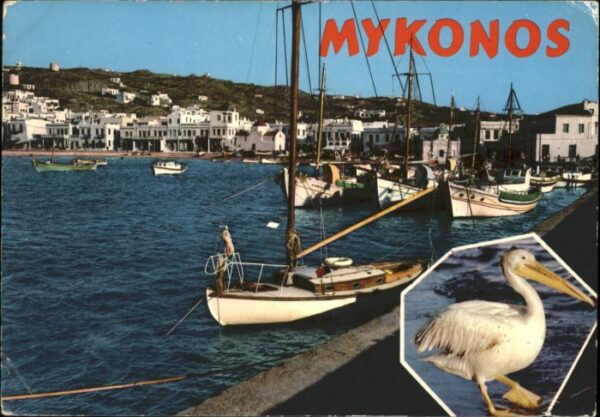 Mykonos Pelikan