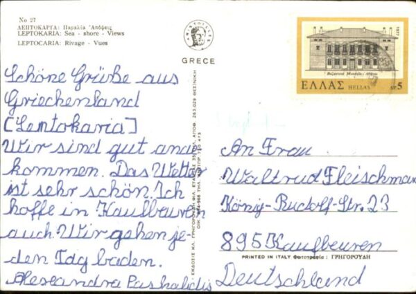Leptorcaria Leptokaria – Bild 2