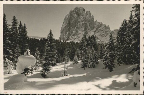Sassolungo Langkofel Sassolungo Dolomiti Val Gardena