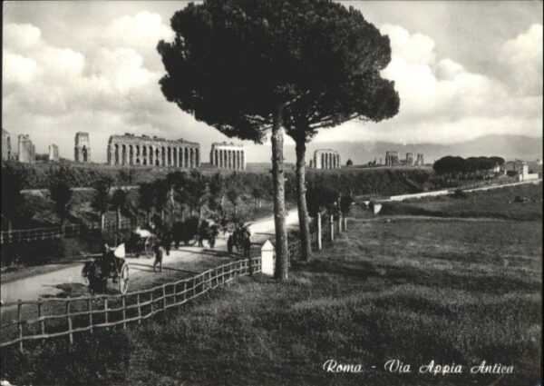 Rom Roma Roma Appia Antica Kutsche  Esel