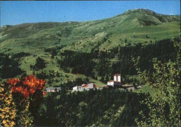 Monesi