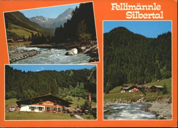 Silbertal Montafon Fellimännle Gasthaus
