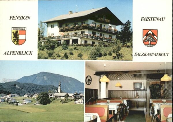 Faistenau Salzburg Pension Alpenblick