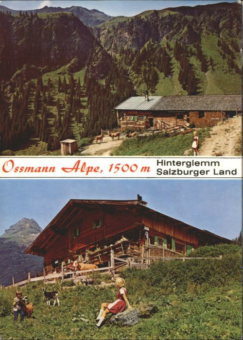 Hinterglemm Saalbach Salzburger Land Ossmann Alpe
