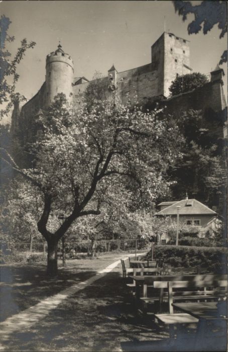 Salzburg Oesterreich Salzburg Restaurant zur Katz